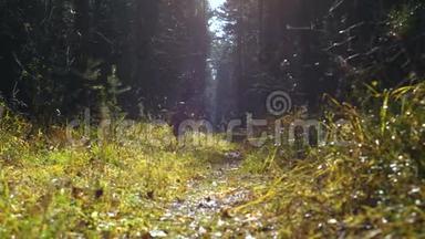 在秋天的森林里，一个小女孩和一只狗沿着一条阳光明媚的小路奔跑。