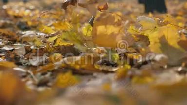 雄足踩色落叶详图.. 人走在秋天公园的黄叶上。 一个人踢
