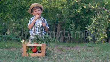 戴帽子的<strong>农村孩子</strong>在花园里吃有机胡萝卜，坐在装有不同蔬菜的木箱旁边