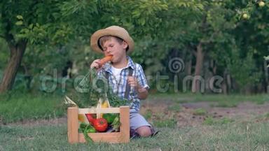 <strong>农村孩子</strong>吃胡萝卜，靠近活跃的狗，坐在装有新鲜蔬菜的木箱旁边