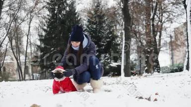 女人在雪地公园玩有趣的<strong>小狗</strong>。 狗穿着圣诞老人的<strong>衣服</strong>，穿着红色的西装，带着引擎盖，在户外霜冻