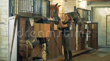 年轻的女马术运动员正在马厩里和一匹马说话