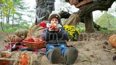 小男孩在森林里吃苹果，孩子坐在野餐<strong>封面</strong>，<strong>万圣节</strong>准备，秋天的假期