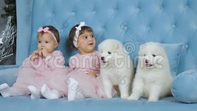 穿着粉色<strong>衣服</strong>的双胞胎姐妹头上戴着蝴蝶结，旁边坐着一只白色毛茸茸的<strong>小狗</strong>