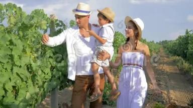秋天的收获，葡萄种植园里的葡萄种植者带着儿子和妻子在一排排的水果篮里走来走去