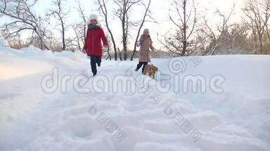 孩子们在冬天和一只狗在公园里旅行。 两个女孩和狗在冬天公园的<strong>小路</strong>上<strong>散步</strong>