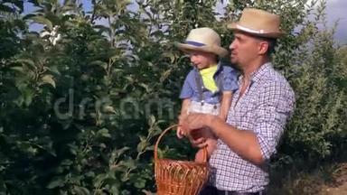 一家人在果园里摘苹果，父亲手牵着儿子，手里拿着一篮子水果