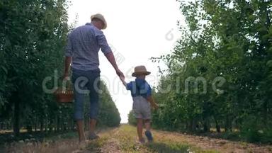 农村生活，小男孩和爸爸一起走在苹果花园里，背着一篮子水果