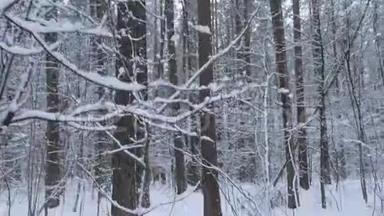 走在一条被<strong>大</strong>雪覆盖的森林里的小路上。 POV稳定<strong>视角</strong>