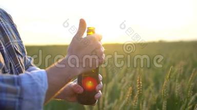 日落时分，人们在成熟麦田的背景上打开一瓶啤酒。 一个人`手打开一瓶啤酒。 太阳镜头