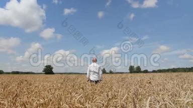 一个人留下来，在背景多云的天空的麦田里摸着一只麦穗。 概念：生态、清洁空气、<strong>夏季</strong>