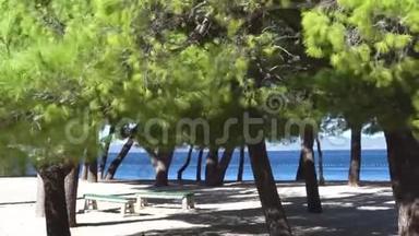 绿色松树和海滩在恶劣的天气和大风。 克罗地亚。 Makars ka