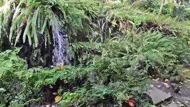 瀑布和绿色植物与运动植物园马拉加