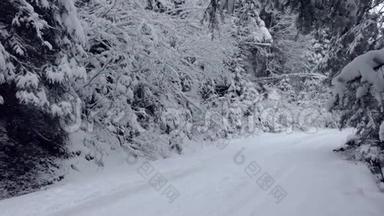 斯洛莫喀尔巴阡山脉冬季云杉林间的乡间小路转弯