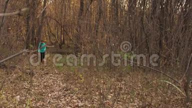 秋天公园里的女孩带着狗在干树叶上散步，女主人牵着狗带着皮带