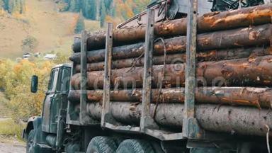 带有拖车的工业卡车运输新锯木。 一棵树干整齐地排成一排。 木材运输