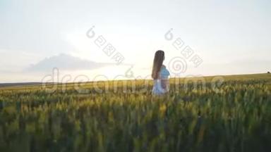 女孩在一个4K年轻的绿色田野里快速行走的背影