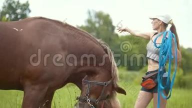 年轻女子骑着一匹马站在夏天的田野上