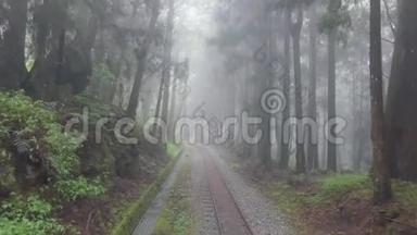 阿里山风景区旧废弃铁路台湾雾、霾、雾森林。鸟瞰图