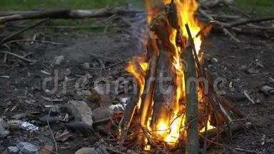 在火里把燃烧的柴火关起来。 野营。 <strong>农村生活</strong>。 壁炉里的火
