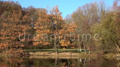 人们在阳光明媚的日子和狗在秋天公园散步。 在湖边。