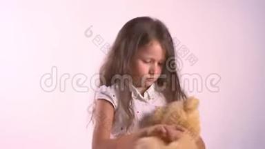 小可爱的女孩抱着她的毛绒玩具熊，站在粉红色的工作室背景上