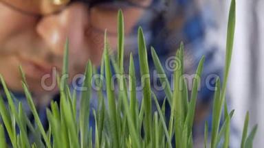 一个戴眼镜的人的特写镜头审视着青草的萌芽。