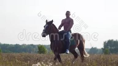 夏天，健壮的年轻人骑着马在田野上