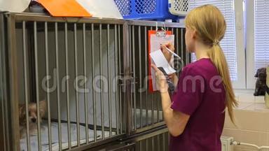 一位年轻的女兽医数着<strong>计算器</strong>，在剪贴板上写着纸。 一只<strong>小</strong>狗坐在笼子里。