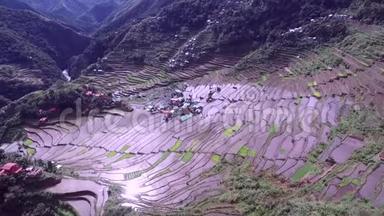 菲律宾IFugao山中的Banaue水稻梯田。 他们经常被称为世界`第八大奇迹