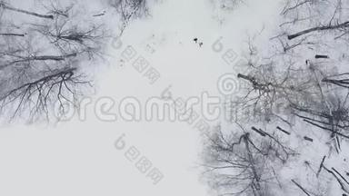 空中：男人和女人在冬天穿过树林