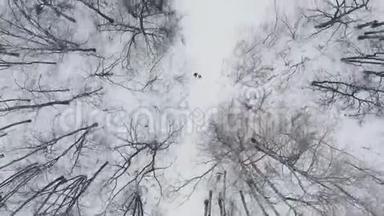 空中：男人和女人在冬天穿过树林