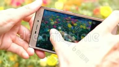 在智能手机上拍摄鲜花并按下手机屏幕特写