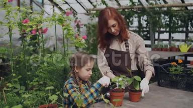 年轻的花店老板和她的孩子正在用园艺工具和谈话用绿色植物在花盆里锄土