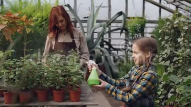 有帮助的女儿正在温室里帮她妈妈用喷雾瓶把水洒在盆花上。 农业