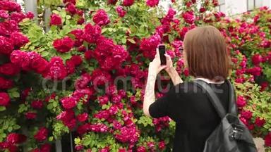 戴眼镜的年轻白种人妇女为红玫瑰拍照。