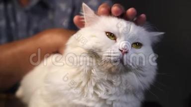 <strong>老奶奶</strong>在家里抚摸着白色的毛茸茸的猫。 有皱纹的手抚摸着家里毛茸茸的宠物。 爱，关怀，家庭