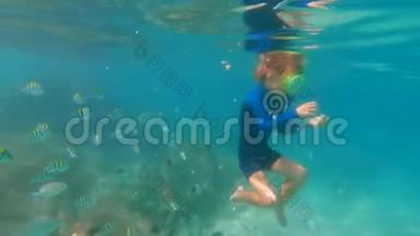 一个小男孩戴着面具潜泳，<strong>呼吸管</strong>在美丽的大海里喂热带鱼，慢镜头