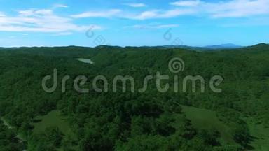 林东<strong>大叻</strong>森林俯视图无人机4K空中飞过乡村风景优美的绿色森林