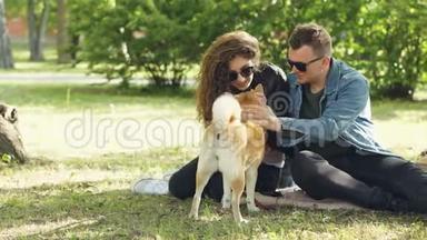 可爱的夫妇男人和女人正在公园里拍拍漂亮的狗，坐在草坪上说话。 现代<strong>生活</strong>方式，<strong>家庭生活</strong>
