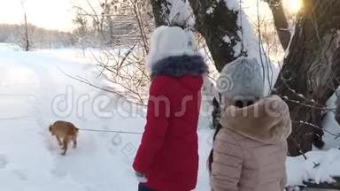孩子们在冬天和一只狗在公园里旅行。 两个女孩和狗在冬天公园的小路上散步