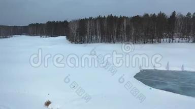 在灰色的<strong>天空下</strong>，冬天在针叶树附近的冰冻湖的鸟瞰。 录像。 美丽的冬天