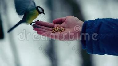 鸟一只手吃东西