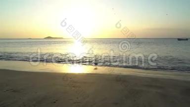 在日落时分在海滩上奔跑的滑稽小灰鹭，巴拿马