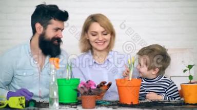 一个快乐的男孩帮助父母在彩色花盆里种花。 夏季种植花卉。