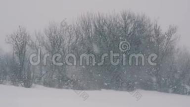 冬天的风景在森林和田野里，飘落着雪花。