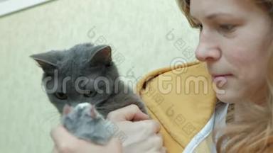 一个穿着黄色衣服的年轻女人抱着一只灰色的猫，一只老鼠在女人身边跑，一个朋友，一只猫在抓一只猫
