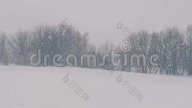 冬天的风景在森林和田野里，飘落着雪花。