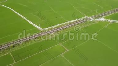 空中<strong>拍摄</strong>稻田和铁路在村庄。 亚洲<strong>农村</strong>绿色水稻种植空中观景工人
