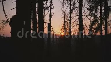 摄像机向右移动，显示夕阳下美丽的<strong>红日</strong>，在黑暗的森林树的剪影之间缓慢的运动。